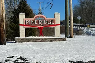 147 Pocono Blvd, Bushkill, PA 18324 - Photo 8