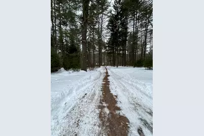  1113 Bush Road, Cresco, PA 18326 - Photo 2