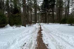 1113 Bush Rd, Cresco, PA 18326 - Photo 2