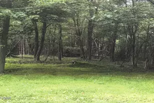 Pine Tree Rd 824 Rd, Pocono Summit, PA 18346 - Photo 1