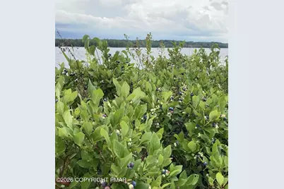  Pine Tree Rd 824 Road, Pocono Summit, PA 18346 - Photo 6