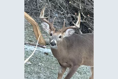  Pine Tree Rd 824 Road, Pocono Summit, PA 18346 - Photo 18