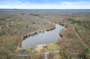 166 Alpine Lake Rd, Henryville, PA 18332 - Photo 8