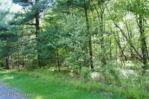Lot 6 Outer Dr 6 Dr, Pocono Lake, PA 18347 - Photo 1