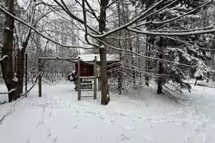 122 Snowflake Dr, Blakeslee, PA 18610 - Photo 96