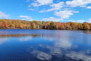 58 Locust Ln, Covington Township, PA 18424 - Photo 44