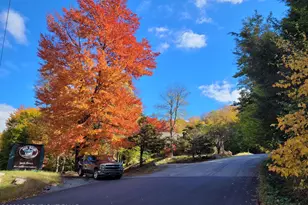 58 Locust Ln, Covington Township, PA 18424 - Photo 42