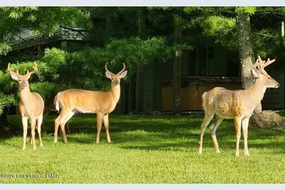 [Address not provided], Lake Harmony, PA 18624 - Photo 60