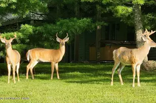 [Address not provided], Lake Harmony, PA 18624 - Photo 60