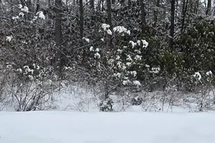 Trail Ridge Rd, Albrightsville, PA 18210 - Photo 1