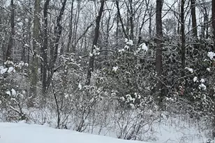 N Sycamore Dr, Jim Thorpe, PA 18229 - Photo 1