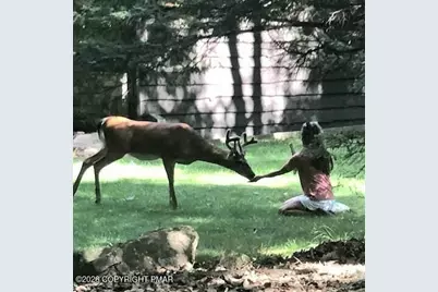  340 Moseywood Road, Lake Harmony, PA 18624 - Photo 90