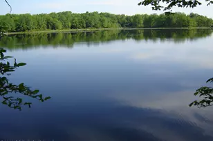 132 Cardinal Dr, Gouldsboro, PA 18424 - Photo 34