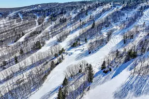 262 Overlook Way, Tannersville, PA 18372 - Photo 46