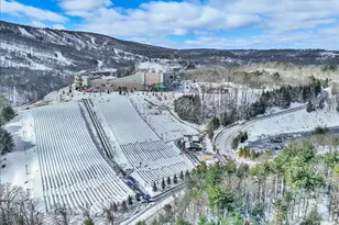 270 Big Pocono Pass, Tannersville, PA 18372 - Photo 74