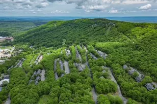 270 Big Pocono Pass, Tannersville, PA 18372 - Photo 58