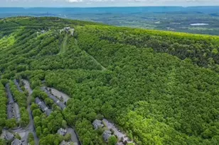 270 Big Pocono Pass, Tannersville, PA 18372 - Photo 56