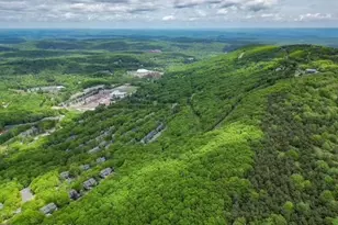 270 Big Pocono Pass, Tannersville, PA 18372 - Photo 56