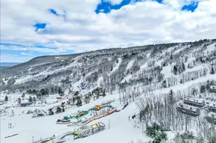 270 Big Pocono Pass, Tannersville, PA 18372 - Photo 88