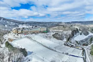 270 Big Pocono Pass, Tannersville, PA 18372 - Photo 74