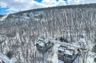 270 Big Pocono Pass, Tannersville, PA 18372 - Photo 86