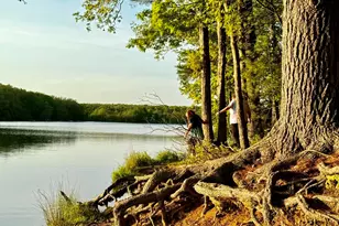 Lot # 14Ht Bear Ln, Jim Thorpe, PA 18229 - Photo 6