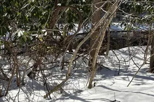 158 Ridge Dr, Tannersville, PA 18372 - Photo 28