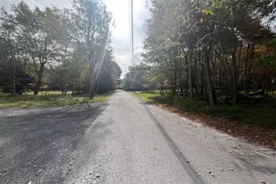 Chippewa Trail, Albrightsville, PA 18210 - Photo 4