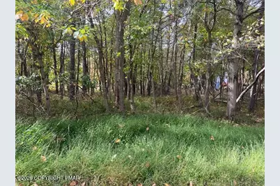  Chippewa Trail, Albrightsville, PA 18210 - Photo 6
