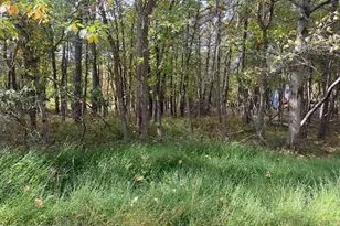 Chippewa Trail, Albrightsville, PA 18210 - Photo 6