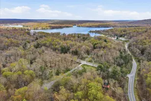 173 Bushkill Dr, Pocono Lake, PA 18347 - Photo 14