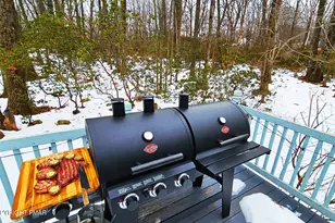 31 Seneca Rd, Mount Pocono, PA 18344 - Photo 8