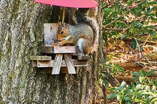 31 Seneca Rd, Mount Pocono, PA 18344 - Photo 36