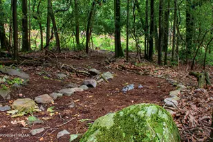 31 Seneca Rd, Mount Pocono, PA 18344 - Photo 18