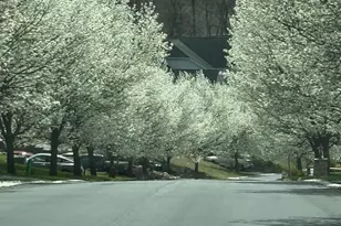 1733 Big Ridge Dr, East Stroudsburg, PA 18302 - Photo 46