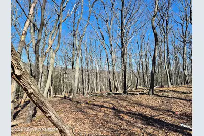  Sunlight Dr 11, Henryville, PA 18332 - Photo 4