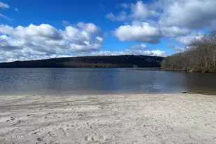 35 Falcon Run, Lake Harmony, PA 18624 - Photo 42