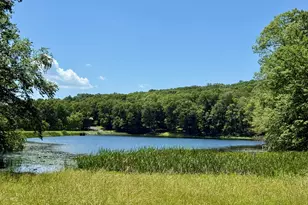 459 Pocono Blvd, Bushkill, PA 18324 - Photo 56