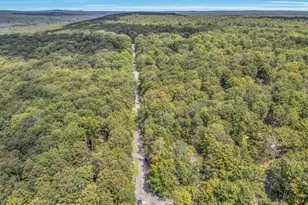 133 Minisink Dr, Pocono Lake, PA 18347 - Photo 44