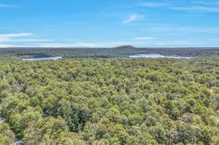 133 Minisink Dr, Pocono Lake, PA 18347 - Photo 42