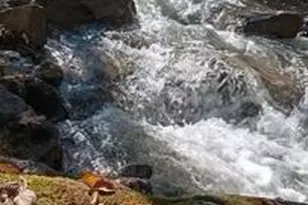 110 Riverfront Ter, Pocono Lake, PA 18347 - Photo 74