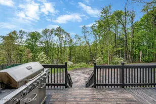 110 Riverfront Ter, Pocono Lake, PA 18347 - Photo 88