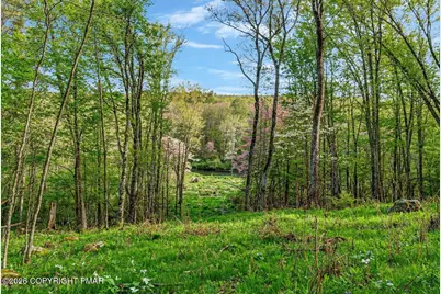  110 Riverfront Terrace, Pocono Lake, PA 18347 - Photo 96