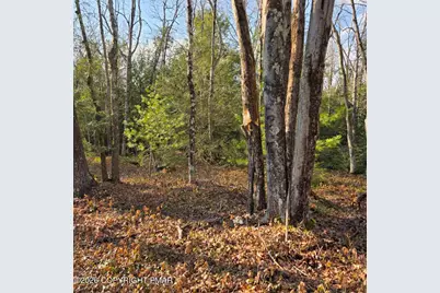  Snowy Ridge, Jim Thorpe, PA 18229 - Photo 10