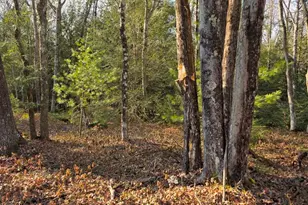 Snowy Ridge, Jim Thorpe, PA 18229 - Photo 10