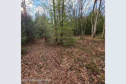  Snowy Ridge, Jim Thorpe, PA 18229 - Photo 26