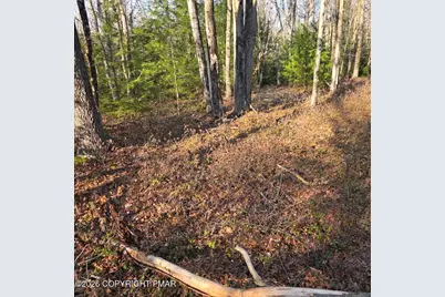  Snowy Ridge, Jim Thorpe, PA 18229 - Photo 16