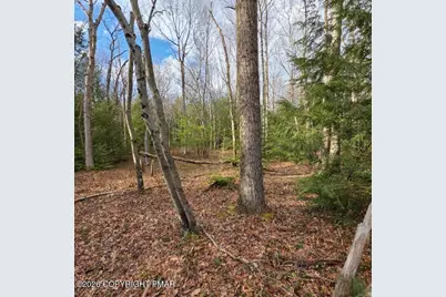  Snowy Ridge, Jim Thorpe, PA 18229 - Photo 28