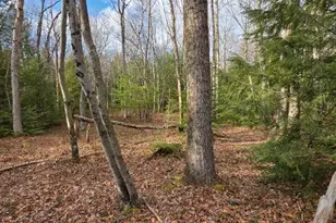 Snowy Ridge, Jim Thorpe, PA 18229 - Photo 28