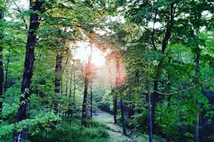 170 Eagle Pass Rd, Henryville, PA 18326 - Photo 12